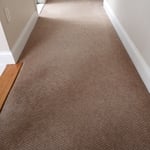 Carpets, Tile, Upholstery
