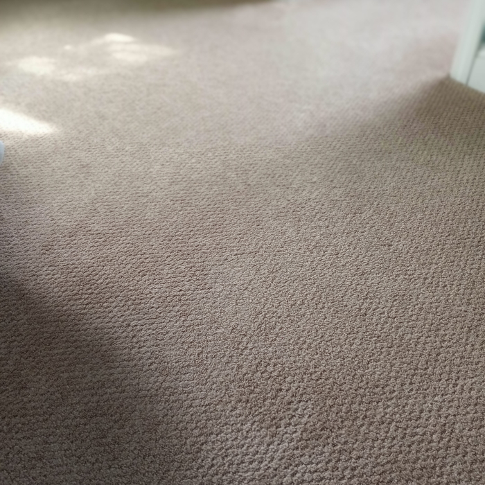 Carpets, Tile, Upholstery