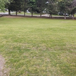 Lawn Mowing