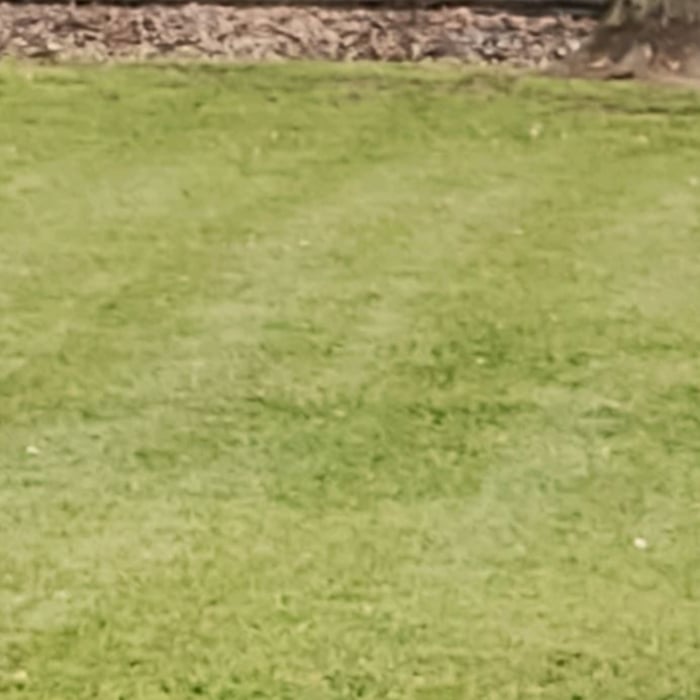 Lawn Mowing