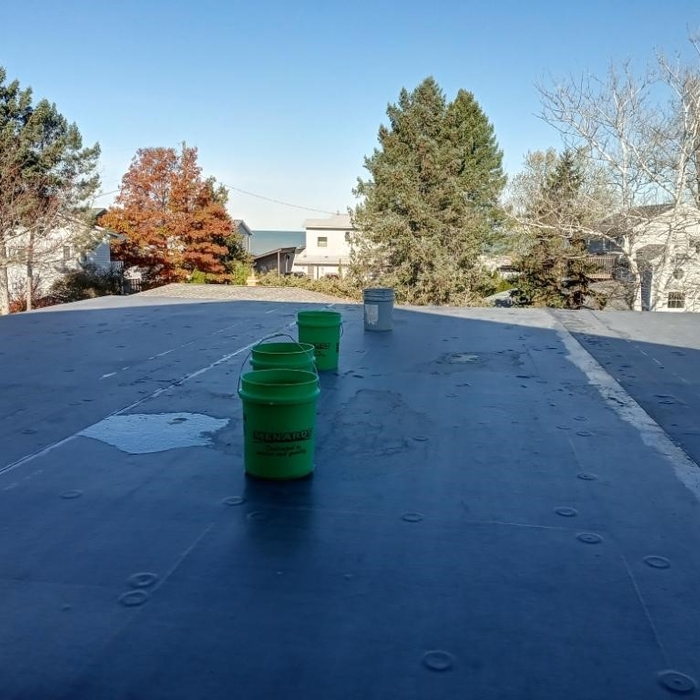 rubber roof