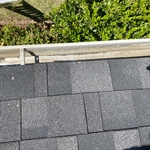 Debris Removal