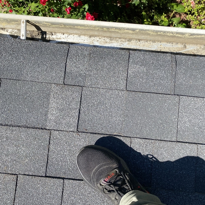 Gutter Debris Removal