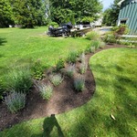 Flower Bed Installation