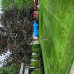 Lawn Maintenance