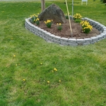 Lord flower beds
