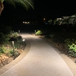 Nighttime Pathway