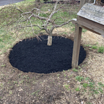 New mulch bed