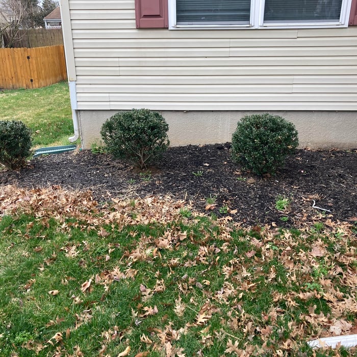 Mulch 2021