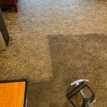 Carpet Cleaning