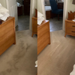 Carpet Cleaning