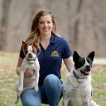 Dog Guard of Middle Tennessee