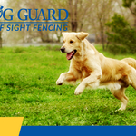 Out of Sight Fencing, Dog Guard
