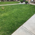 Mowing