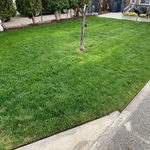 Mowing