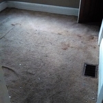 Carpets