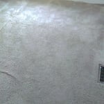 Cleaning Carpet