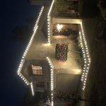Antelope - Christmas lights