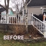 Before it was the old deck with trees.