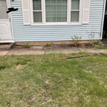 Planting and mulch