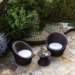 Backyard gardens