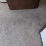 Room Carpet
