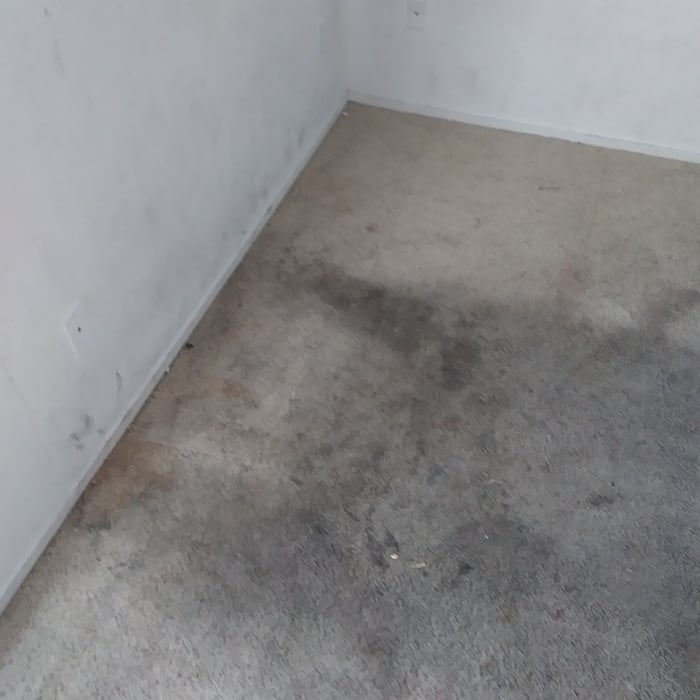 Stained Carpet High Traffic