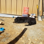 Job foreman