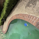 Pool Remodel
