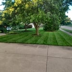 Lawn Care