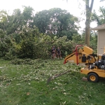 Tree work