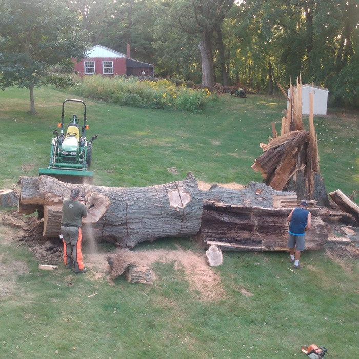Tree work