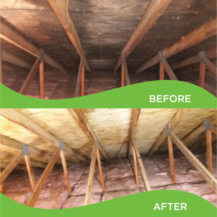 Before and After