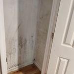 Mold we've encountered