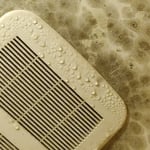 Mold we've encountered