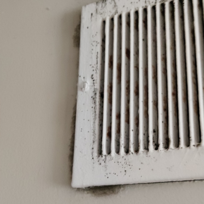 Mold we've encountered
