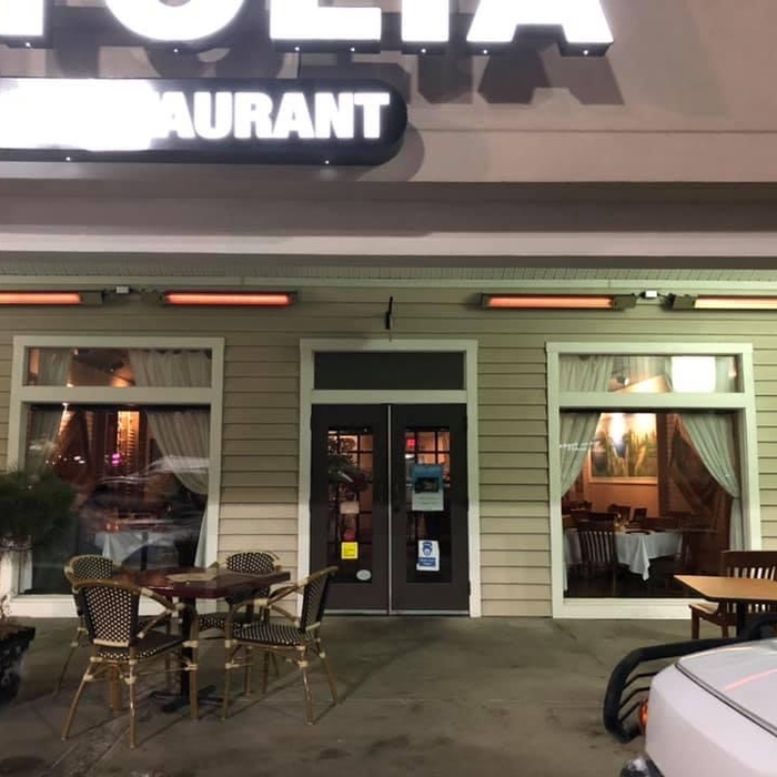 240v Commercial grade patio heaters