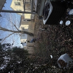 Landscape project