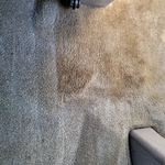 Carpet cleaning