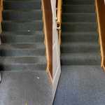 Carpet cleaning
