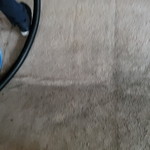 Carpet cleaning