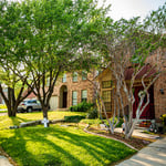 Las Colinas - Cedar Elm and Crape Myrtles 1