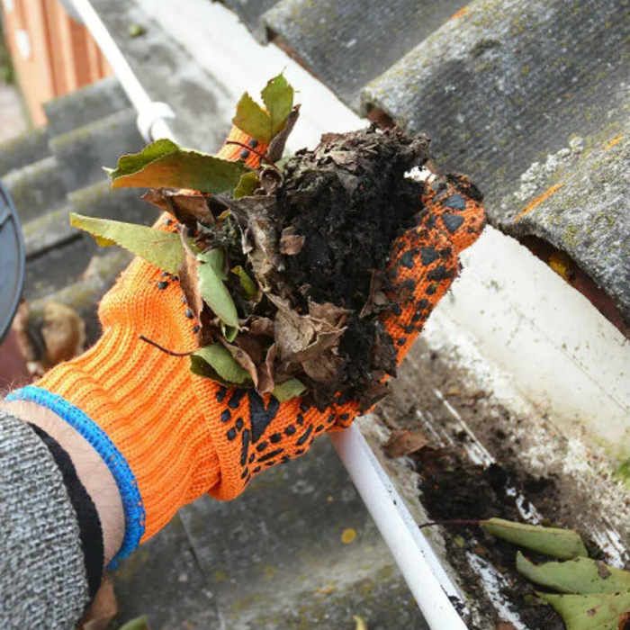 Gutter Clean Out