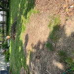 After pic of Yard cleanup/junk removal