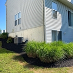 Mulch