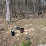 Back yard before