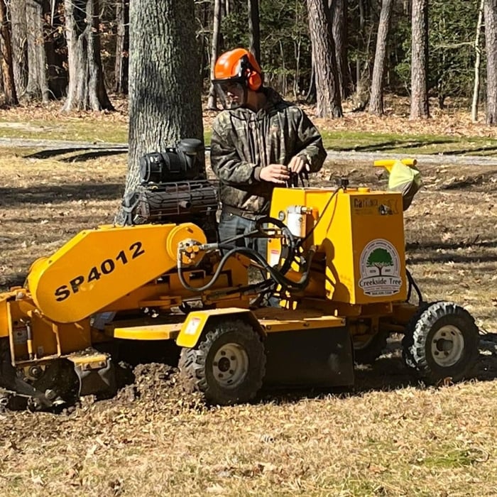 Stump Grinding