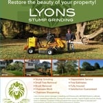 Stump Removal
