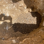 New Sewer1