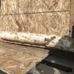 Broken Sewer Lateral